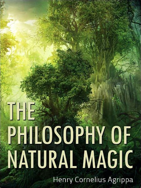 The Philosophy of Visualization and its Application in Natural Magic